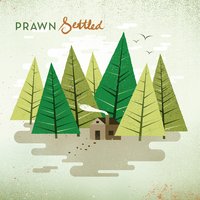 Settled - Prawn