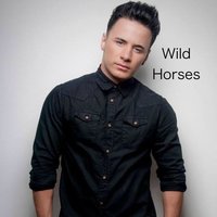 Wild Horses - Ryan Dolan
