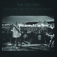 Play Dumb - The Crookes