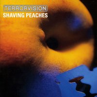 In Your Shoes - Terrorvision