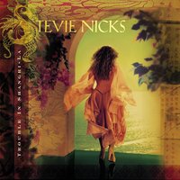 That Made Me Stronger - Stevie Nicks