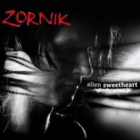 Another Year - Zornik