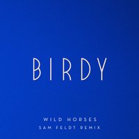 Wild Horses - Birdy, Sam Feldt