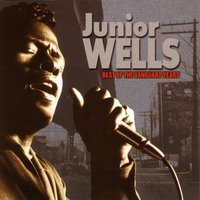 Shotgun Blues - Junior Wells