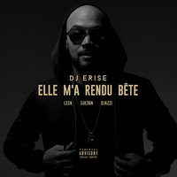 Elle m'a rendu bête - Sultan, Dj Erise, Leck