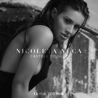 Castele De Nisip - Nicoleta Nuca