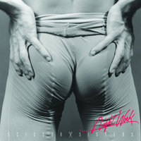 Any Which Way - Scissor Sisters