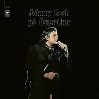Nobody Cared - Johnny Cash
