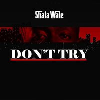 Don't Try - Shatta Wale