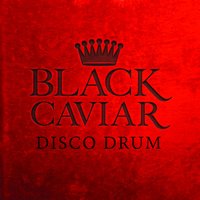 Disco Drum - Black Caviar
