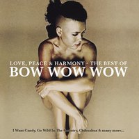 Chihuahua - Bow Wow Wow