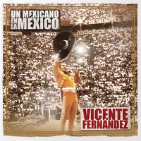 Hermoso Cariño - Vicente Fernandez