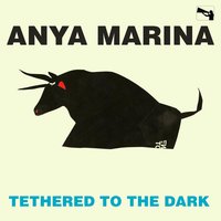 Tethered to the Dark - Anya Marina
