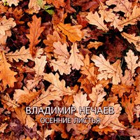 Осенние листья - Владимир Нечаев