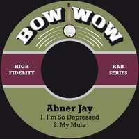 I´m so Depressed - Abner Jay