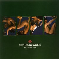 Here Comes The Fat Controller - Catherine Wheel