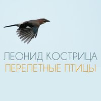Перелётные птицы - Леонид Кострица