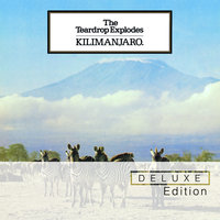 Kilimanjaro - The Teardrop Explodes