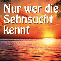 Nur wer die Sehnsucht kennt - Die Flippers