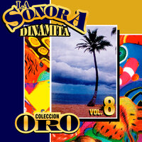 Grito Vagabundo - La Sonora Dinamita