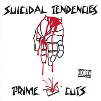 No Fuck'n Problem - Suicidal Tendencies