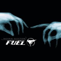 Million Miles - Fuel