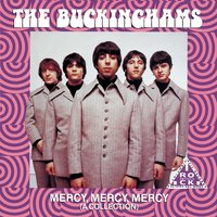 Hey Baby (They're Playing Our Song) - The Buckinghams