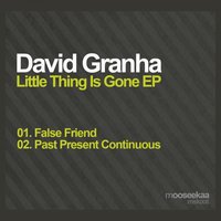 False Friend - David Granha