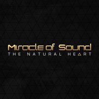 The Natural Heart - Miracle of Sound