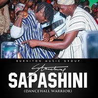 Sapashini (Dancehall Warrior) - Stonebwoy