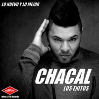 Madre - Chacal