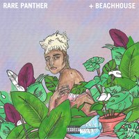 RAREPANTHER+BEACHHOUSE - Duckwrth