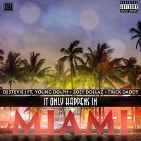 It Only Happens In Miami - DJ Stevie J, Young Dolph, Trick Daddy