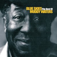 Mean Old Frisco Blues - Muddy Waters