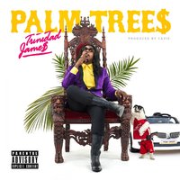 Palm Trees - Trinidad Jame$