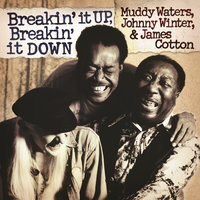 Got My Mojo Workin' - Muddy Waters, Johnny Winter, James Cotton