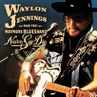 Shakin' The Blues - Waylon Jennings, The Waymore Blues Band