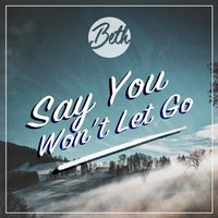 Say You Won't Let Go - Beth
