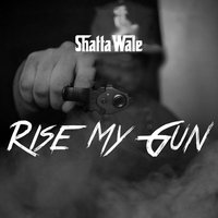 Rise My Gun - Shatta Wale