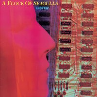What Am I Supposed To Do - A Flock Of Seagulls