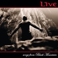 The River - Live