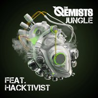 Jungle - The Qemists, Hacktivist