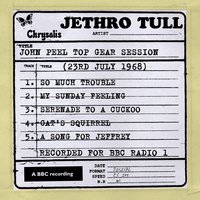 My Sunday Feeling (John Peel Top Gear Session) - Jethro Tull