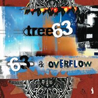 Self Tanning Lotion - Tree63