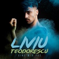 Cine m-a pus - Liviu Teodorescu