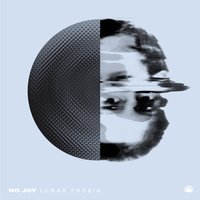 Lunar Phobia - No Joy