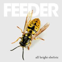 Oh Mary - Feeder