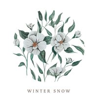 Winter Snow - Audrey Assad