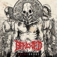 Christraping Black Metal - Benighted