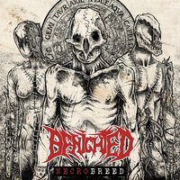 Psychosilencer - Benighted